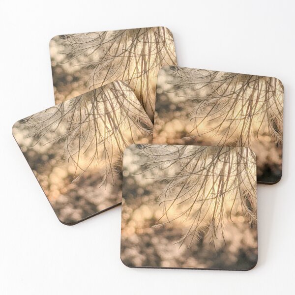 Item preview, Gone to Seed designed and sold by aeolia.