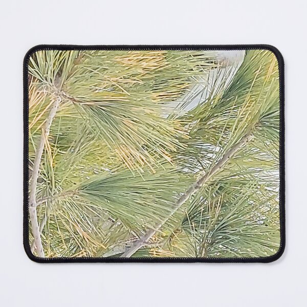 Item preview, Pine Leaves in Ottawa Winter 2023. Buy Now designed and sold by Health And Fitness Posts e-Store.