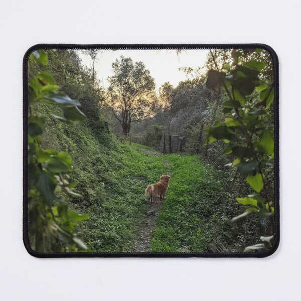 Item preview, The Way Home designed and sold by aeolia.