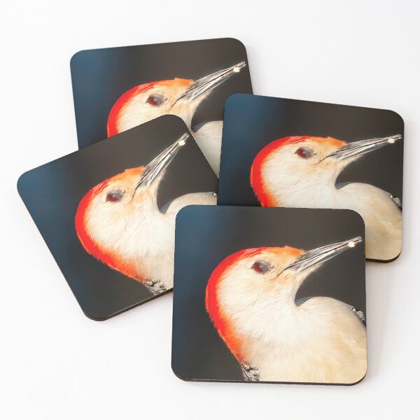 Item preview, Red bellied Woodpecker grabbing a bite designed and sold by HadsStudio.