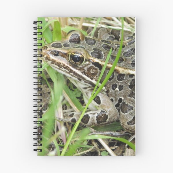 Item preview, Leopard Frog designed and sold by The Botanical Jason.