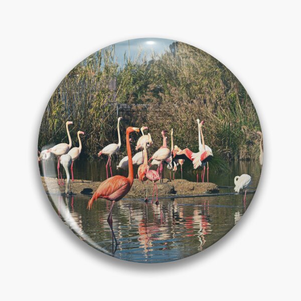 Item preview,  A Flamboyance of Flamingos designed and sold by Kate-P-.