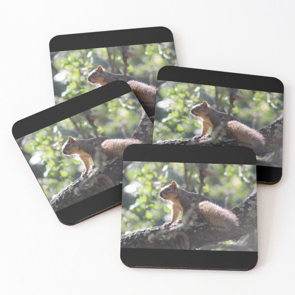 Item preview, Squirrel Portrait designed and sold by craftsbydaphy.