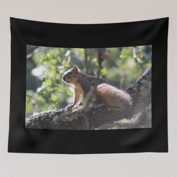 Item preview, Squirrel Portrait designed and sold by craftsbydaphy.