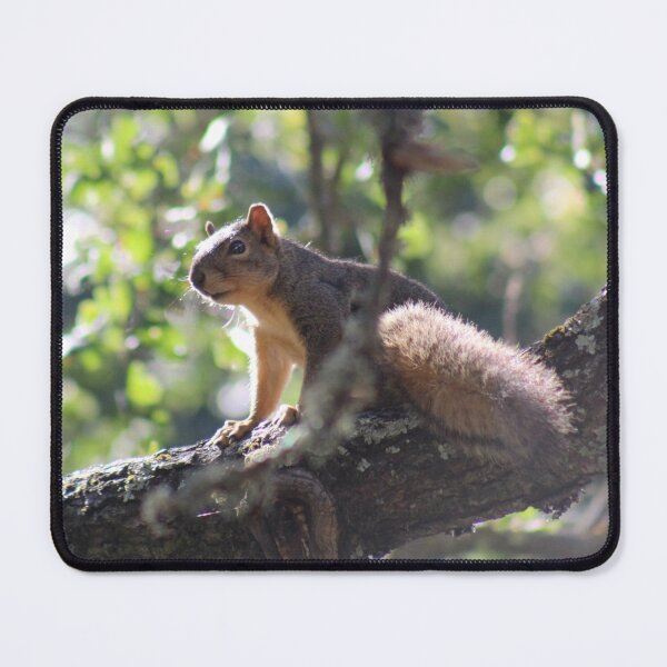 Item preview, Squirrel Portrait designed and sold by craftsbydaphy.