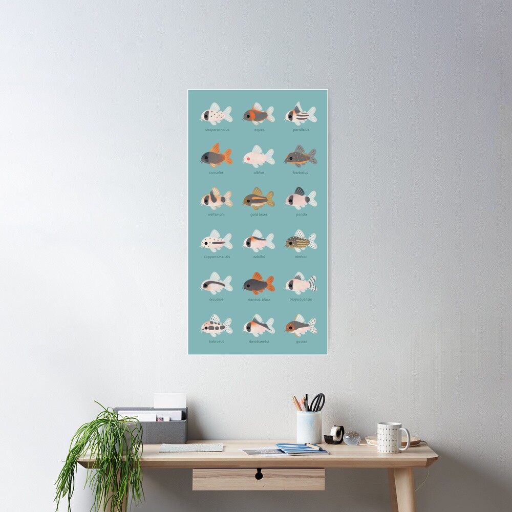 Corydoras! Poster