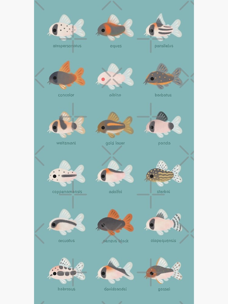 Corydoras! by pikaole