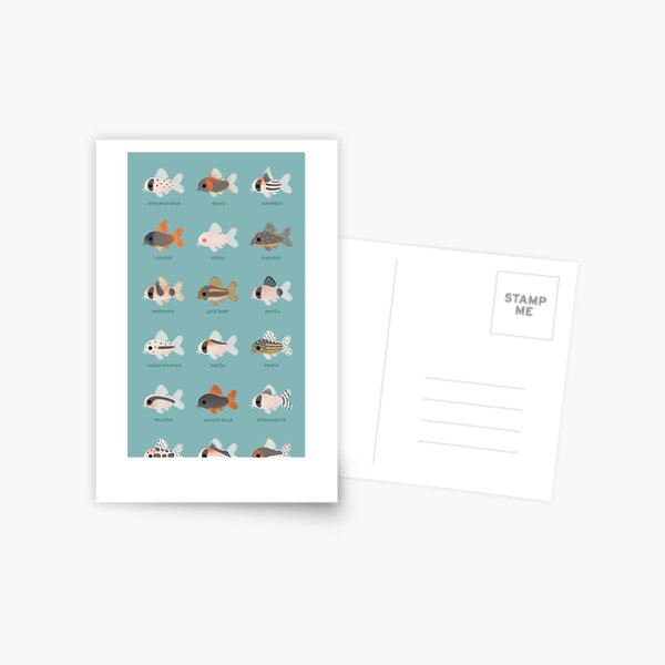 Corydoras! Postcard