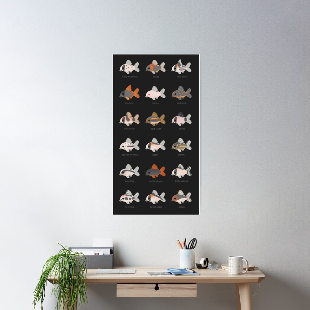 Corydoras! - black Poster