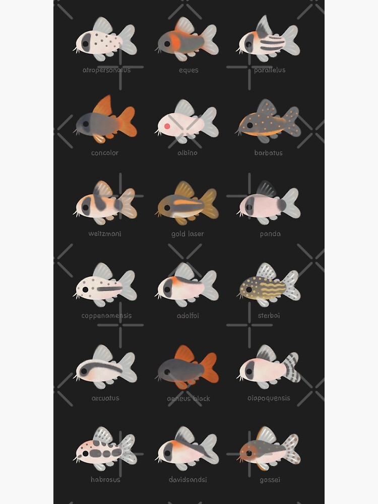 Corydoras! - black by pikaole