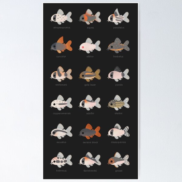 Vista previa del artículo con la obra «¡Corydoras! - negro», diseñado y vendido por pikaole.