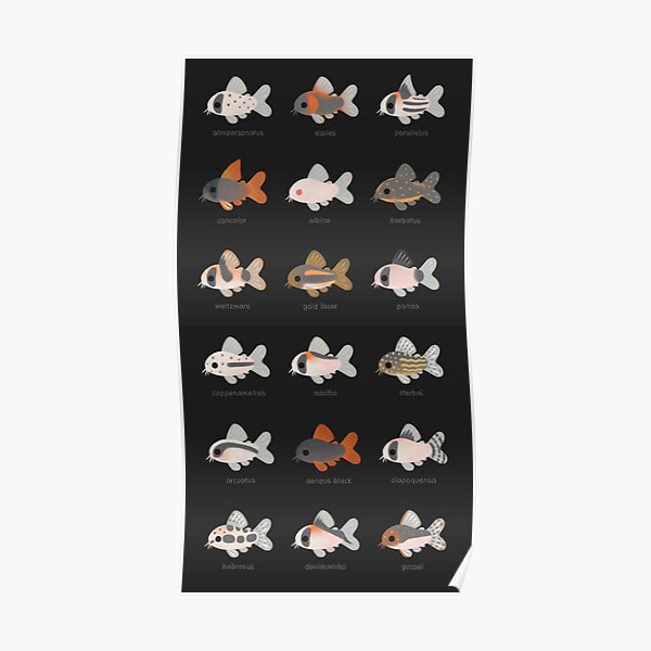 Corydoras! - black Poster