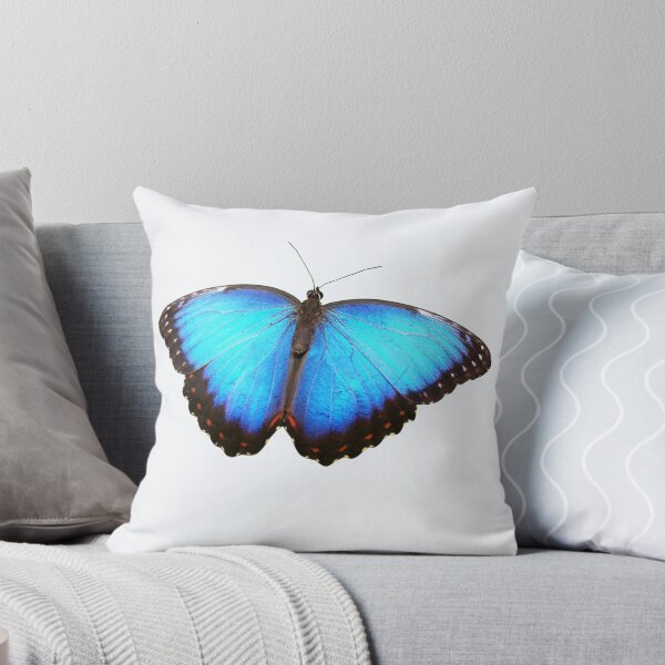 Item preview, Blue Morph Butterfly designed and sold by RainbowSpinkle.