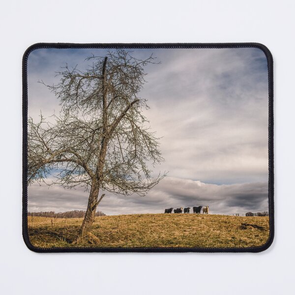 Artikelvorschau, Pastoral Skies entworfen und verkauft von Jim Love.