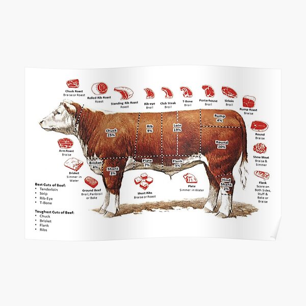 Beef Cuts Chart Poster Poster For Sale By Chartopian Redbubble 