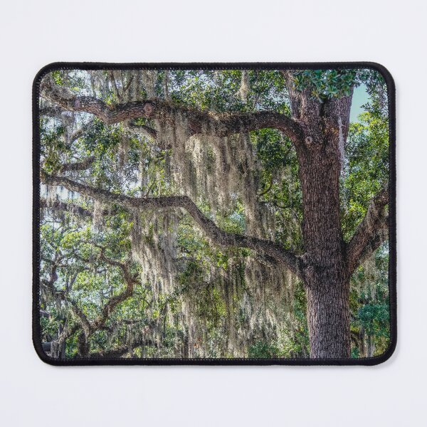 Item preview, Spanish Moss in Oak Tree designed and sold by dbvirago.