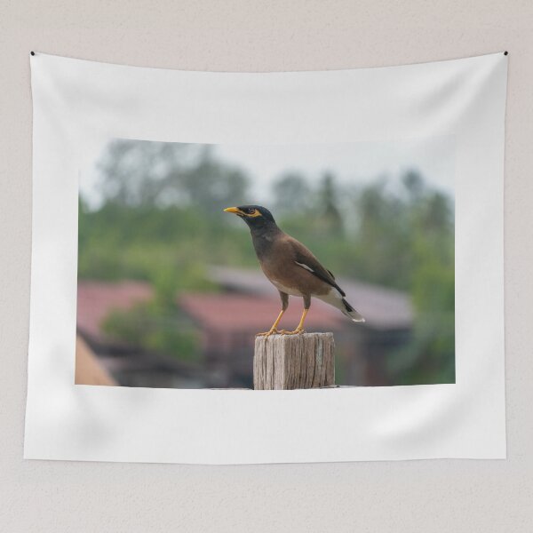 Item preview, Bird designed and sold by PitakChai93.
