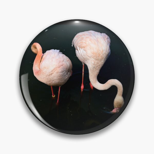 Item preview, Two Flamingos Eating designed and sold by Kate-P-.