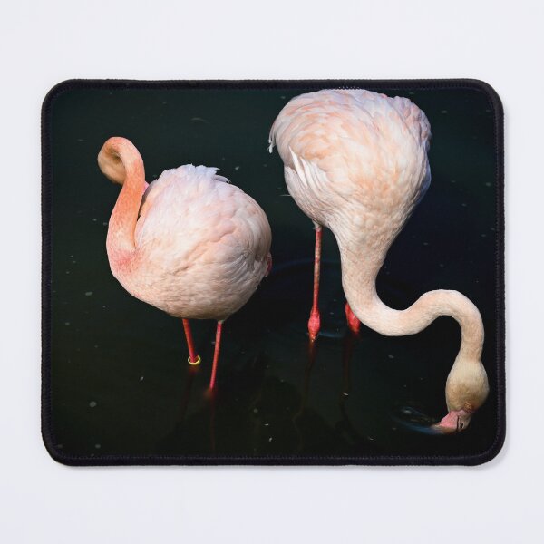 Item preview, Two Flamingos Eating designed and sold by Kate-P-.