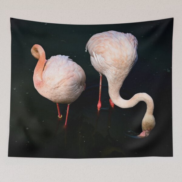 Item preview, Two Flamingos Eating designed and sold by Kate-P-.