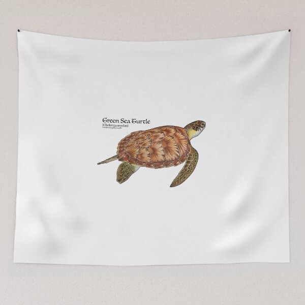 Item preview, Green Sea Turtle designed and sold by Joe Richichi.