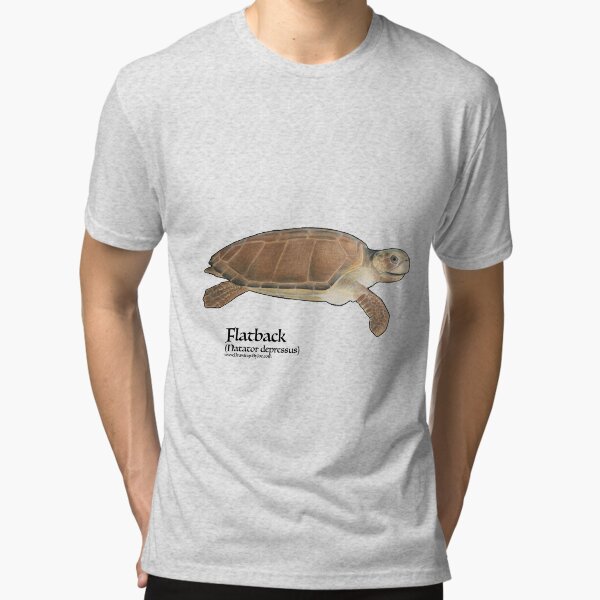 Tri-blend T-Shirt