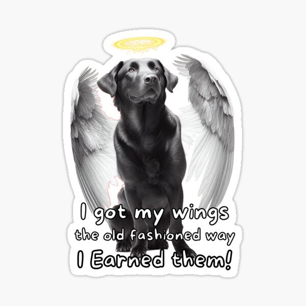 black lab with angel wings