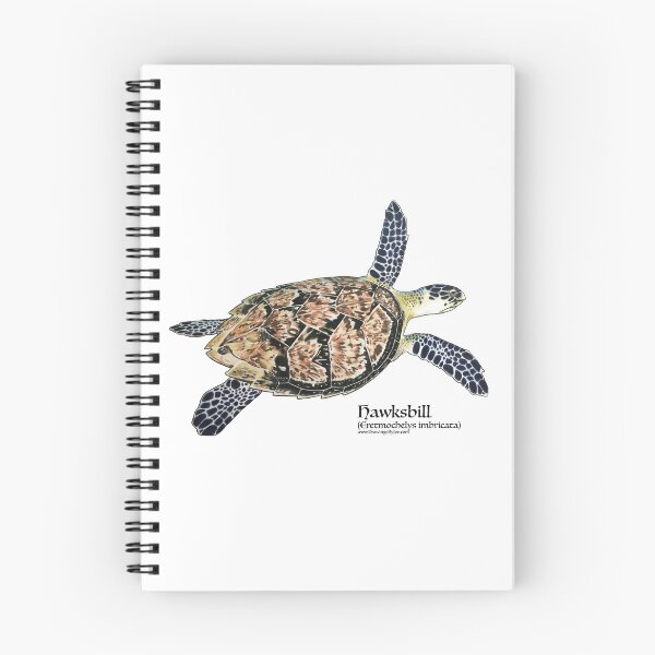 Item preview, Hawksbill Sea Turtle designed and sold by Joe Richichi.
