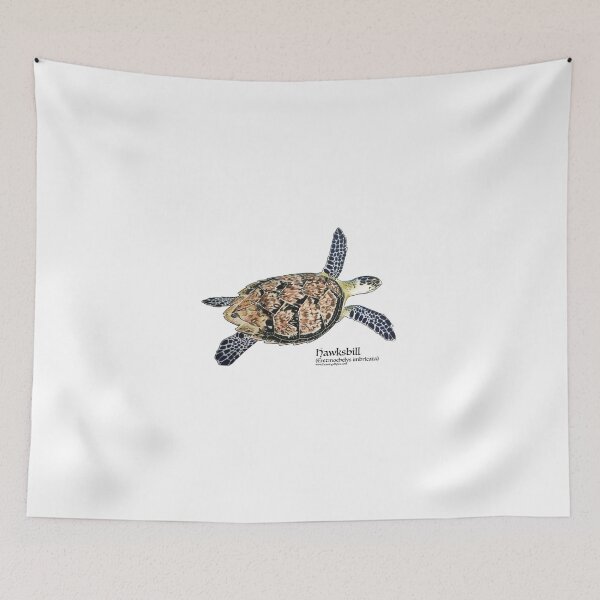 Item preview, Hawksbill Sea Turtle designed and sold by Joe Richichi.