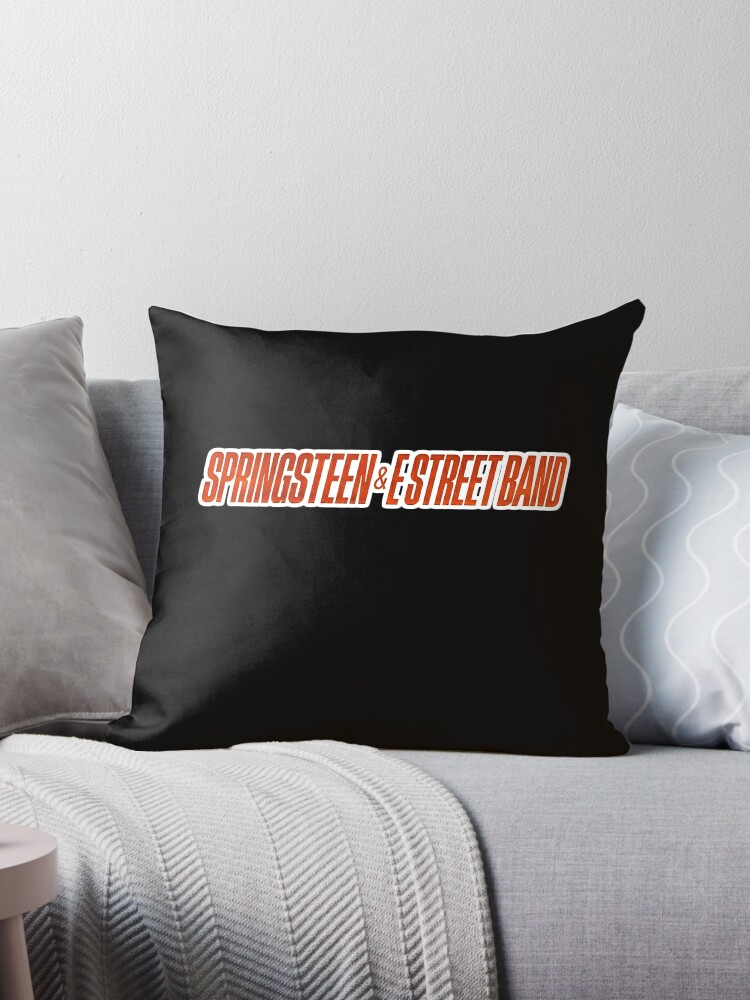 https://ih1.redbubble.net/image.4868732131.8668/throwpillow,medium,750x1000-bg,f8f8f8.jpg