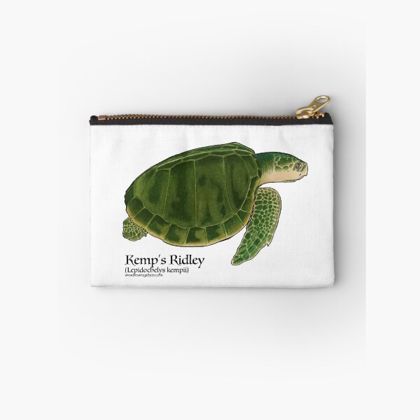 Item preview, Kemp's Ridley Sea Turtle designed and sold by Joe Richichi.