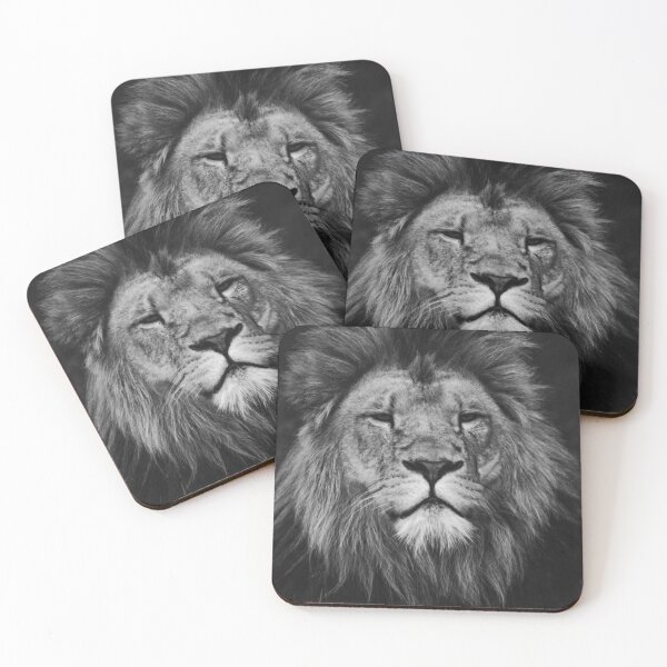 Item preview, Lion | Unique Beautiful Travelling Home Decor | Phone Cases Stickers Wall Prints | Scottish Travel Photographer  | ZOE DARGUE PHOTOGRAPHY | Glasgow Travel Photographer  designed and sold by Zoe Dargue Photography.