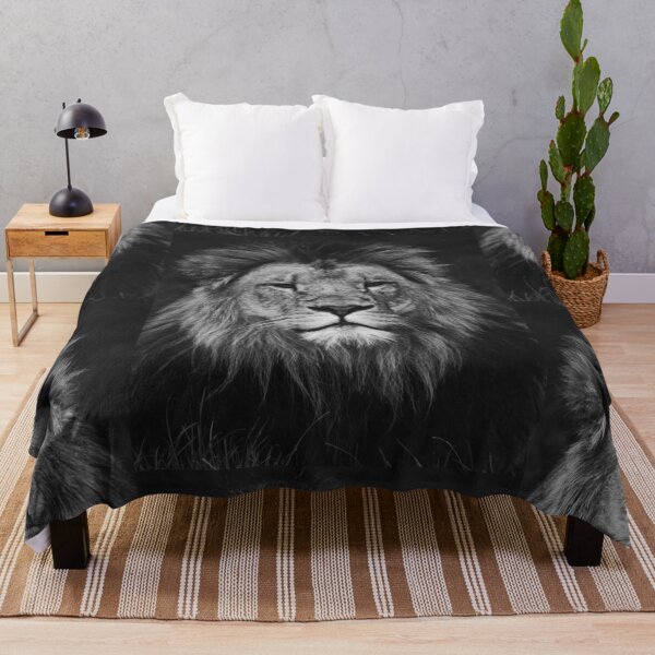 Item preview, Lion | Unique Beautiful Travelling Home Decor | Phone Cases Stickers Wall Prints | Scottish Travel Photographer | ZOE DARGUE PHOTOGRAPHY | Glasgow Travel Photographer designed and sold by Zoe Dargue Photography.