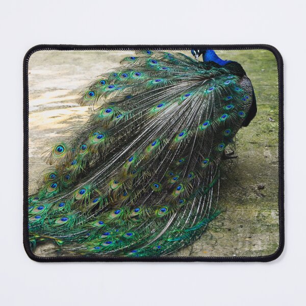 Item preview, Back View Of A Peacock designed and sold by Kate-P-.
