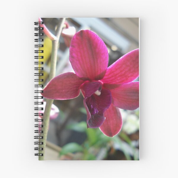 Item preview, Wine and Rhyme designed and sold by May Lattanzio.