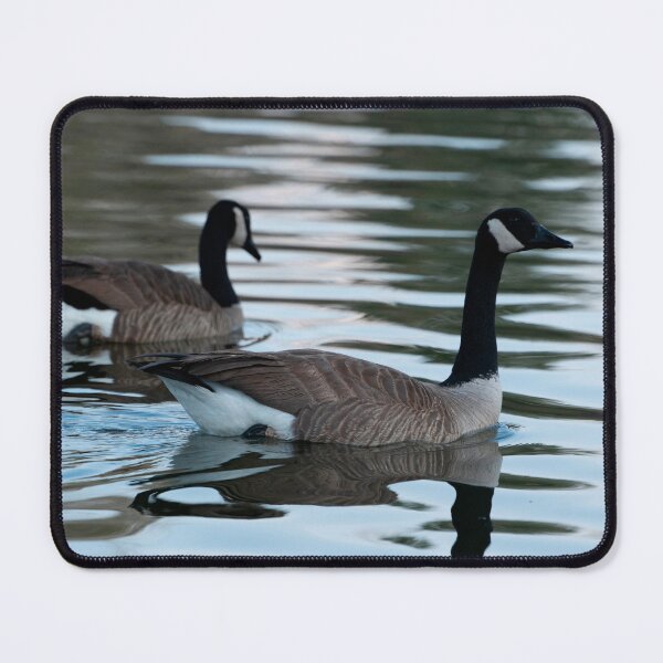 Item preview, To wade in Company designed and sold by Elliot L..