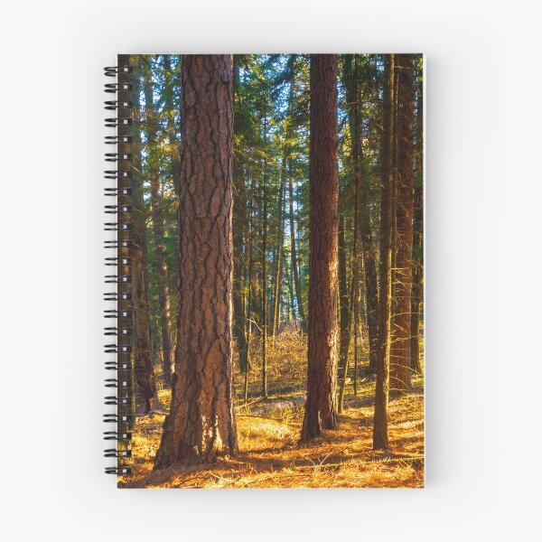 Item preview, Ponderosa and Firs designed and sold by Alison Meyer Photography.