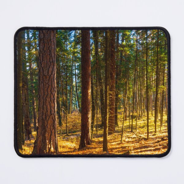 Item preview, Ponderosa and Firs designed and sold by Alison Meyer Photography.