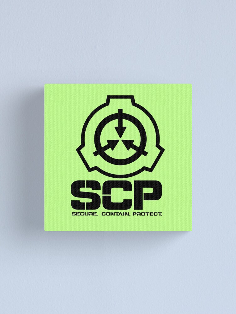 Got my custom ordered SCP Foundation flag today and I love the way