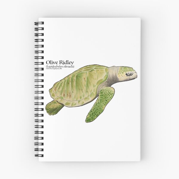 Item preview, Olive Ridley Sea Turtle designed and sold by Joe Richichi.