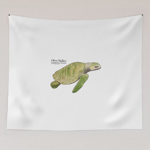 Item preview, Olive Ridley Sea Turtle designed and sold by Joe Richichi.