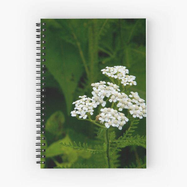 Item preview, Wildflowers designed and sold by ctheworld.