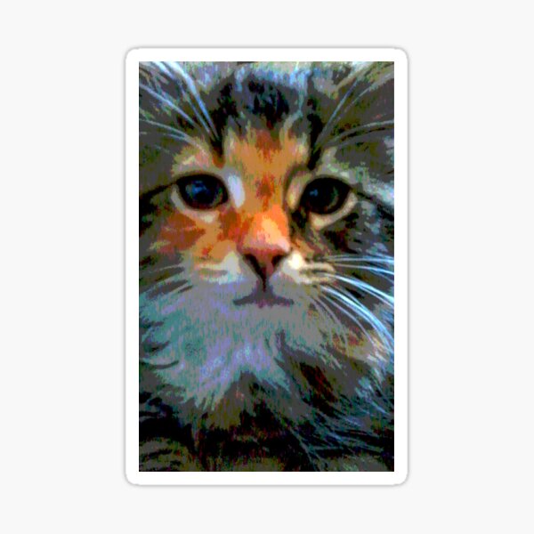 Freya the fluffy cute calico kitten Sticker