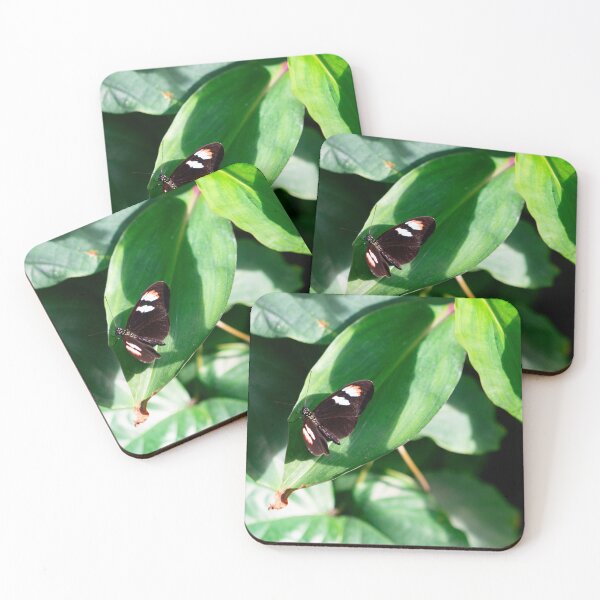 Item preview, Re-leaf between Wings designed and sold by Elliot L..
