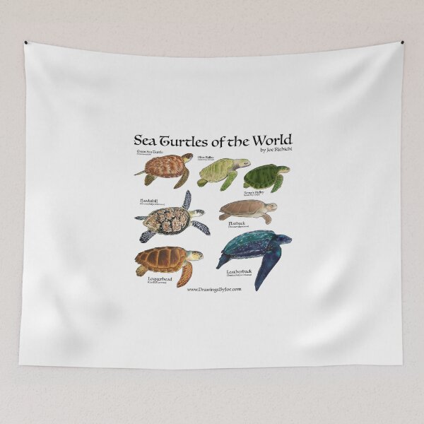 Item preview, Sea Turtles of the World designed and sold by Joe Richichi.