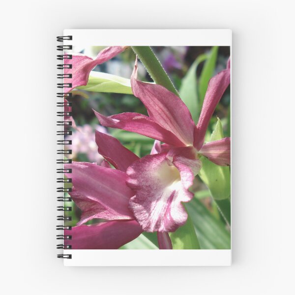 Item preview, A Dendrobium with a Sharp Little Face designed and sold by May Lattanzio.