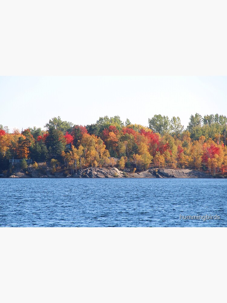 "Autumn in SudburyRamsey Lake" Poster for Sale by hummingbirds Redbubble