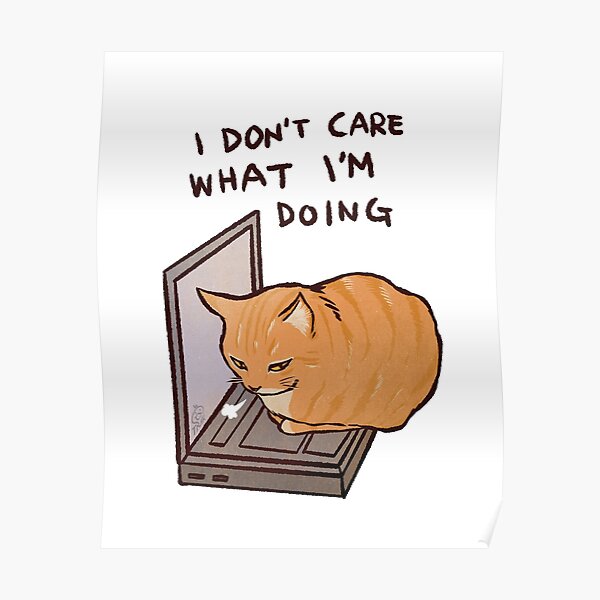 Cat on Laptop | I don't care what I'm doing | Funny cat memes Poster