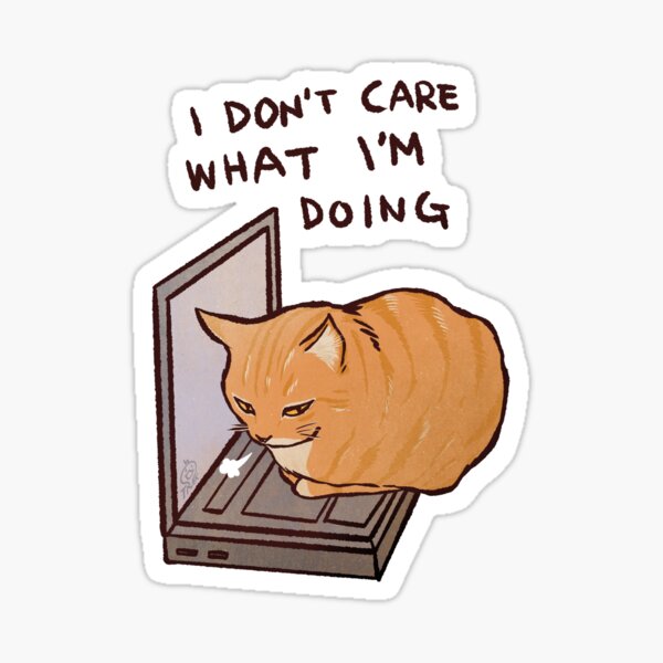 i be cooling bra idc bout nun cat meme funny positivity silly kitty  Sticker for Sale by bubbleiel