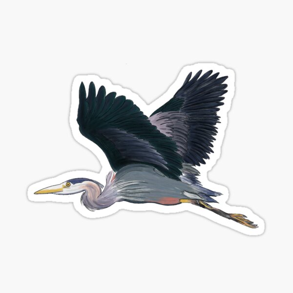 Item preview, Karen the Great Blue Heron designed and sold by ThreeReefsDeep.